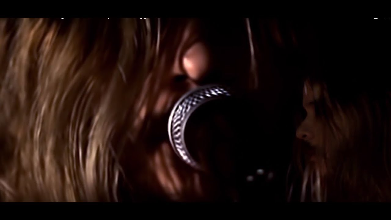 Nirvana - You know You're Right (by The Krueggers)