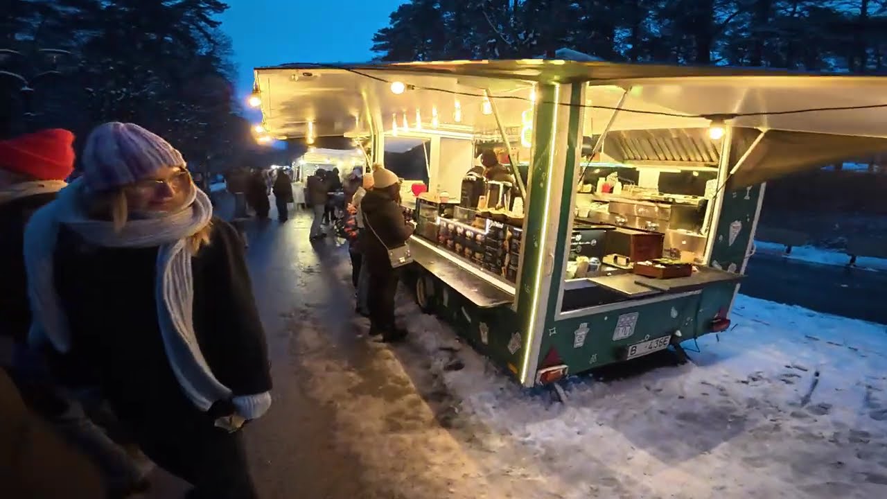 Christmas market Mezapark 2025 | Mežaparkā pastaigu tirgus 2025 | #riga #mezapark #latvia #межапарк