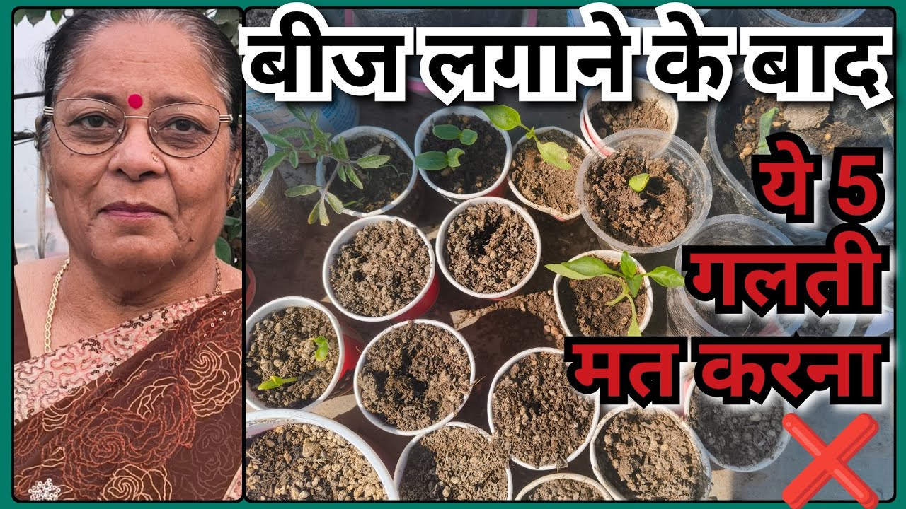 बीज लगाने के बाद भूलकर भी ये 5 गलतियां ना करें ❌ नहीं तो बीज सड़ जाएगा | जर्मिनेशन नहीं होगा