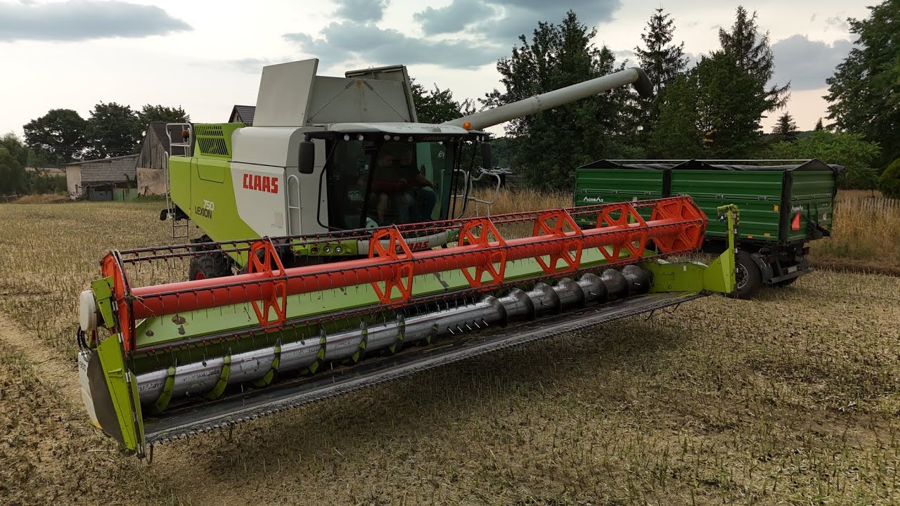 ZDĄRZYĆ PRZED BURZĄ !!! 😨 ŻNIWA W AGRO MŁOT Na dwa lexiony🤯 750&760// Fendt 718// RZEPAK 2024 ! ☀️