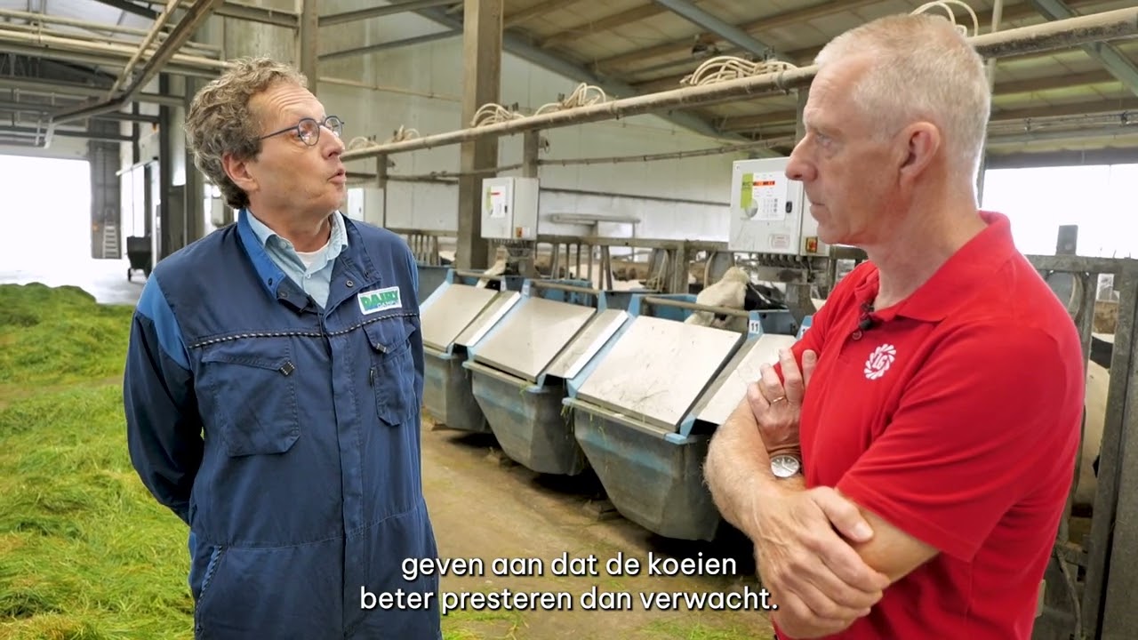 Graskruiden voor biodiverse melk | LG Seeds