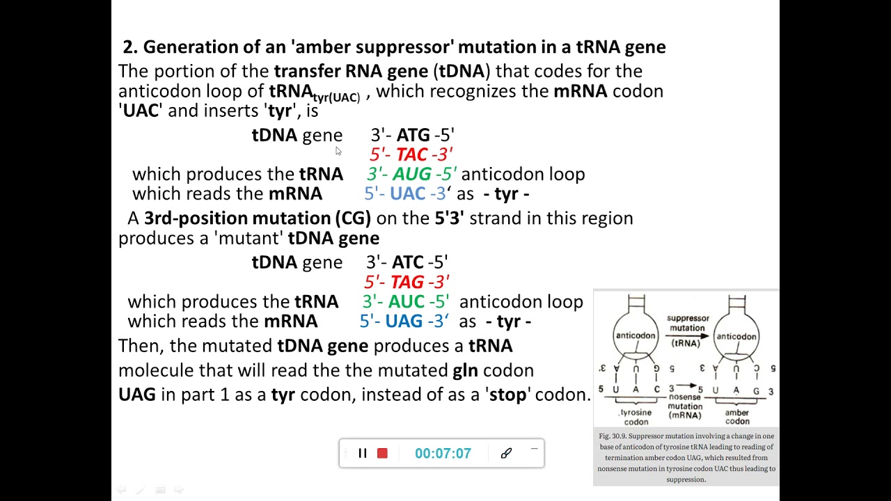 Suppressor mutations