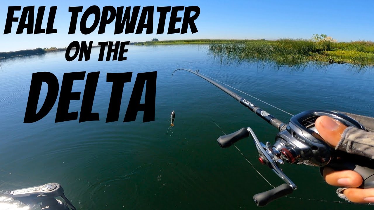 I Finally Caught a Big Fish on the Delta!