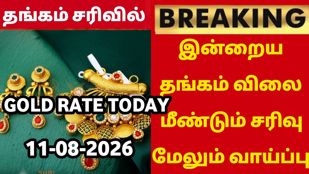11-08-26|Today gold rate fall again super update |todaygoldratetamil|goldprice|Chennai