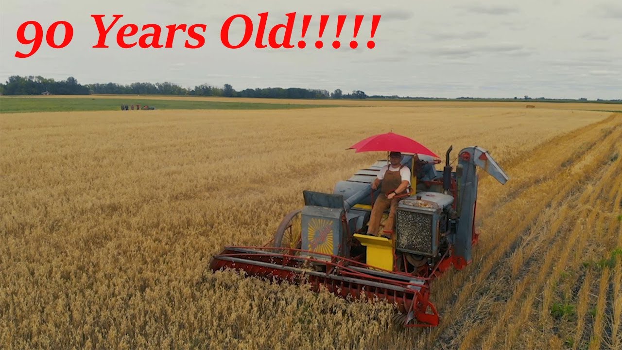 Первый урожай за 50 лет! 90-летний комбайн снова жив!