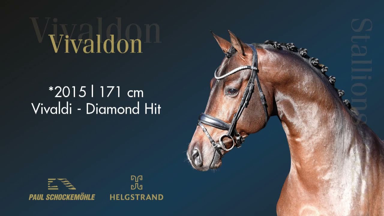 Vivaldon - Dressage Collection 2022 Schockemöhle & Helgstrand (ENG)