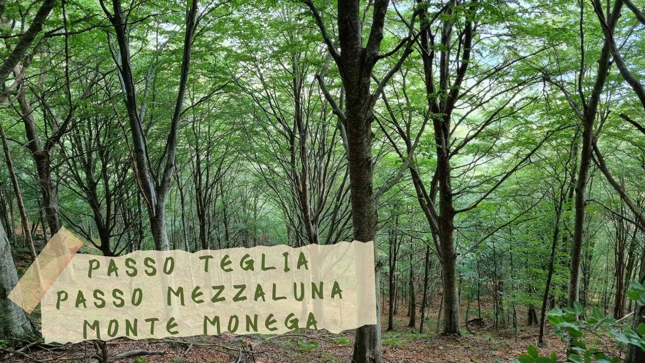 PARCO ALPI LIGURI Passo Teglia, Passo Mezzaluna, Monte Monega 10 luglio 2022