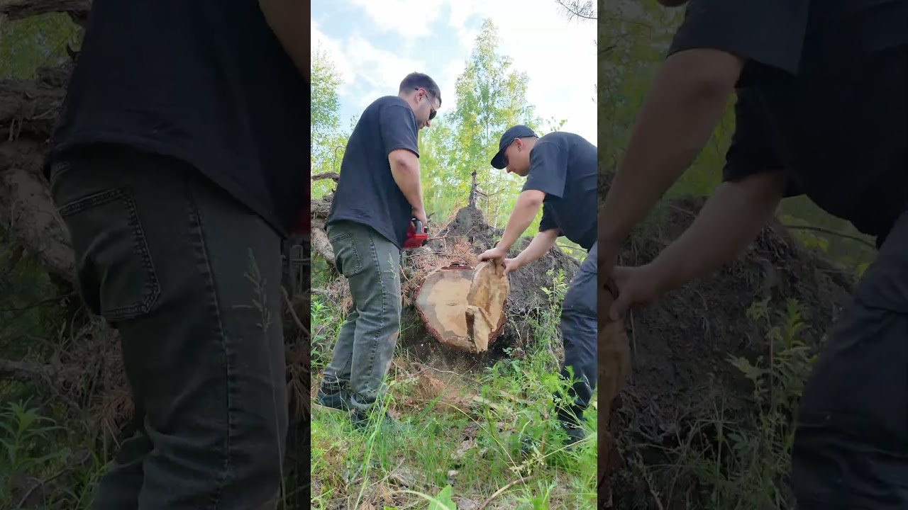 Cordless chainsaw #chainsaw #review