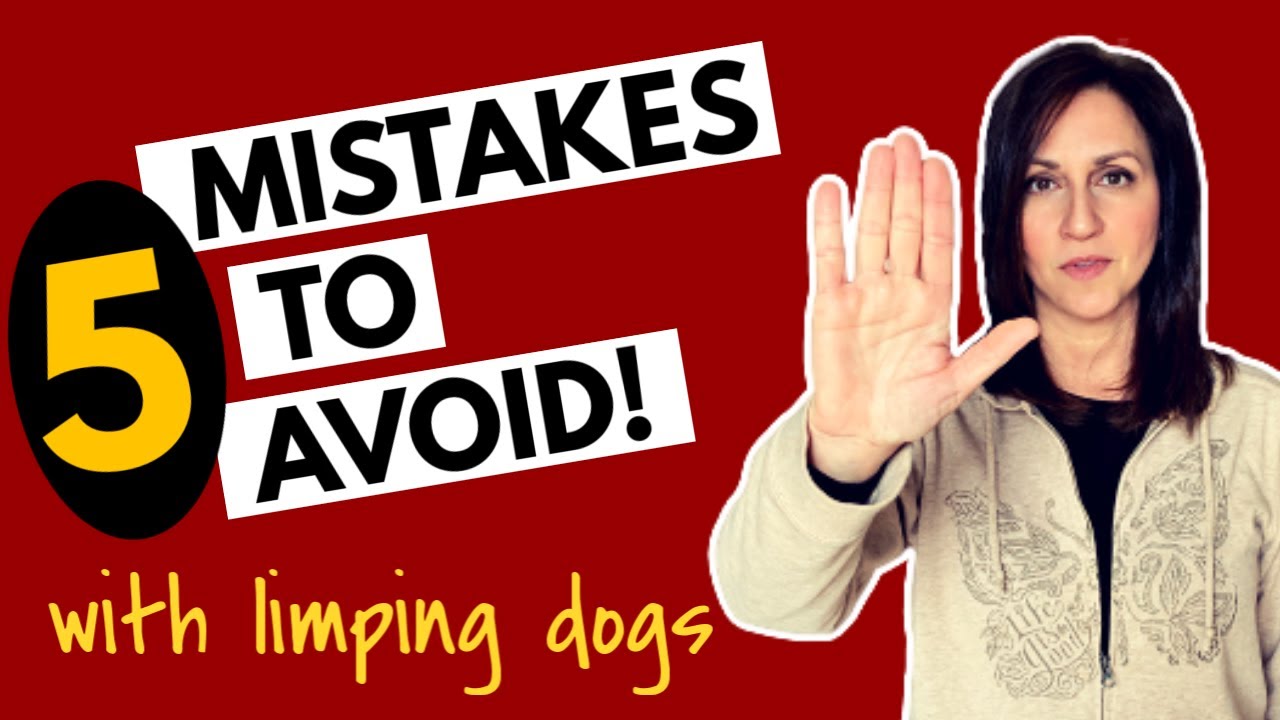 Why is Your Dog Limping on Their Back Leg?