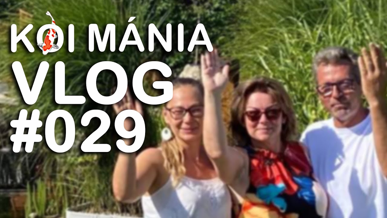Koi Mánia VLOG#029 - Tólátogatás: Nyunya és Mr. Gold vagyis Aranyék :-)