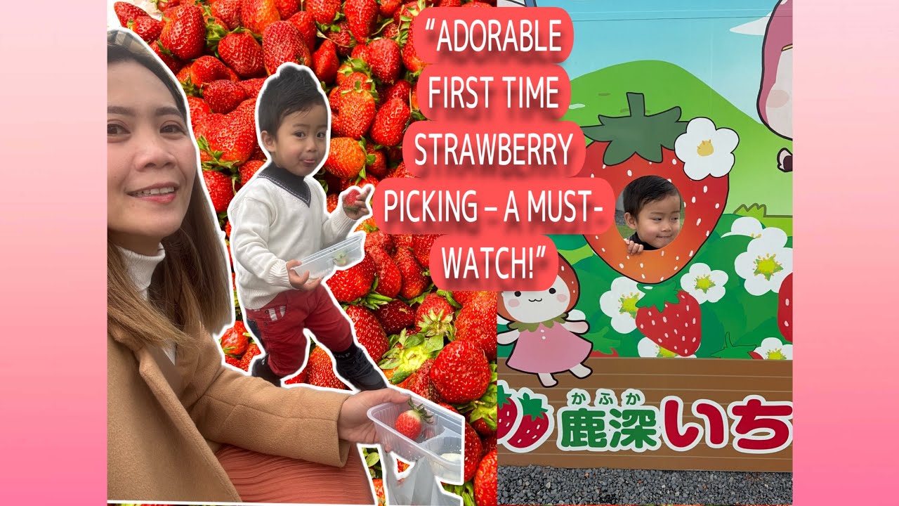 You Won’t Believe How Many Strawberries My Baby Ate! 🍓😂