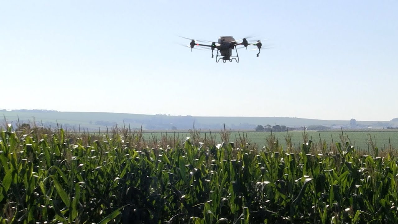 Drone é usado para plantio de mix de cobertura