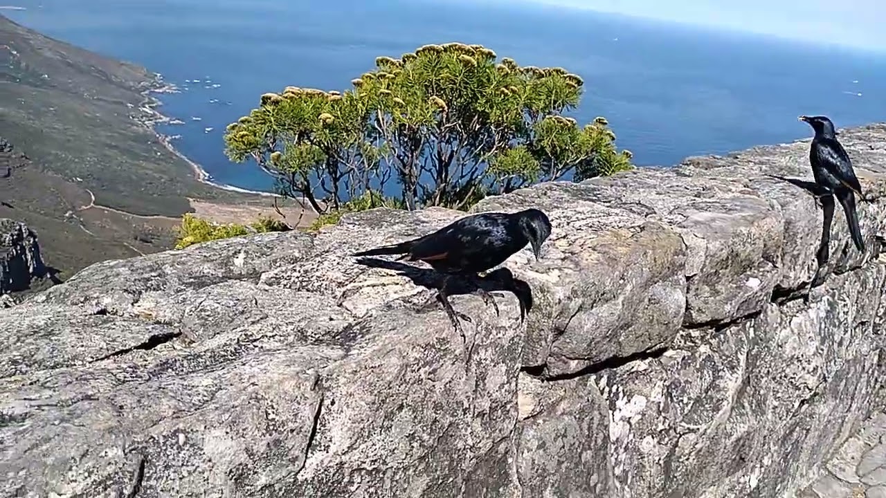 PART4.On top of table 🏔 