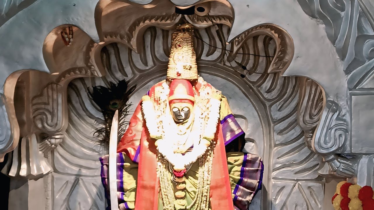 🙏Narayan Patil 🙏 is live!