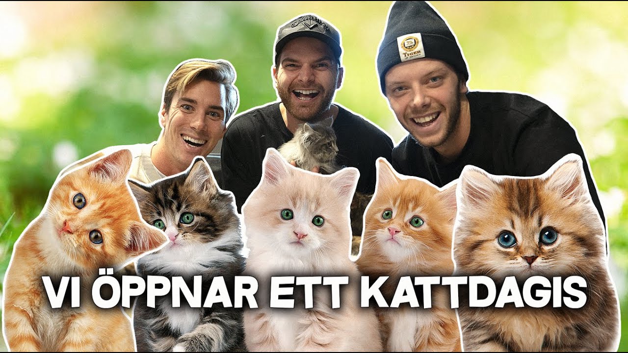 VI ÖPPNAR ETT KATTDAGIS!