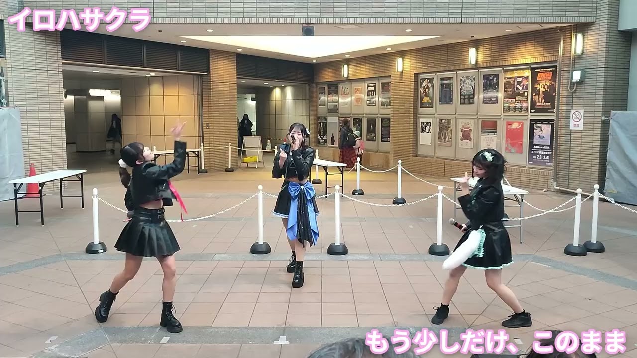 イロハサクラ / もう少しだけ、このまま (2026/01/18)