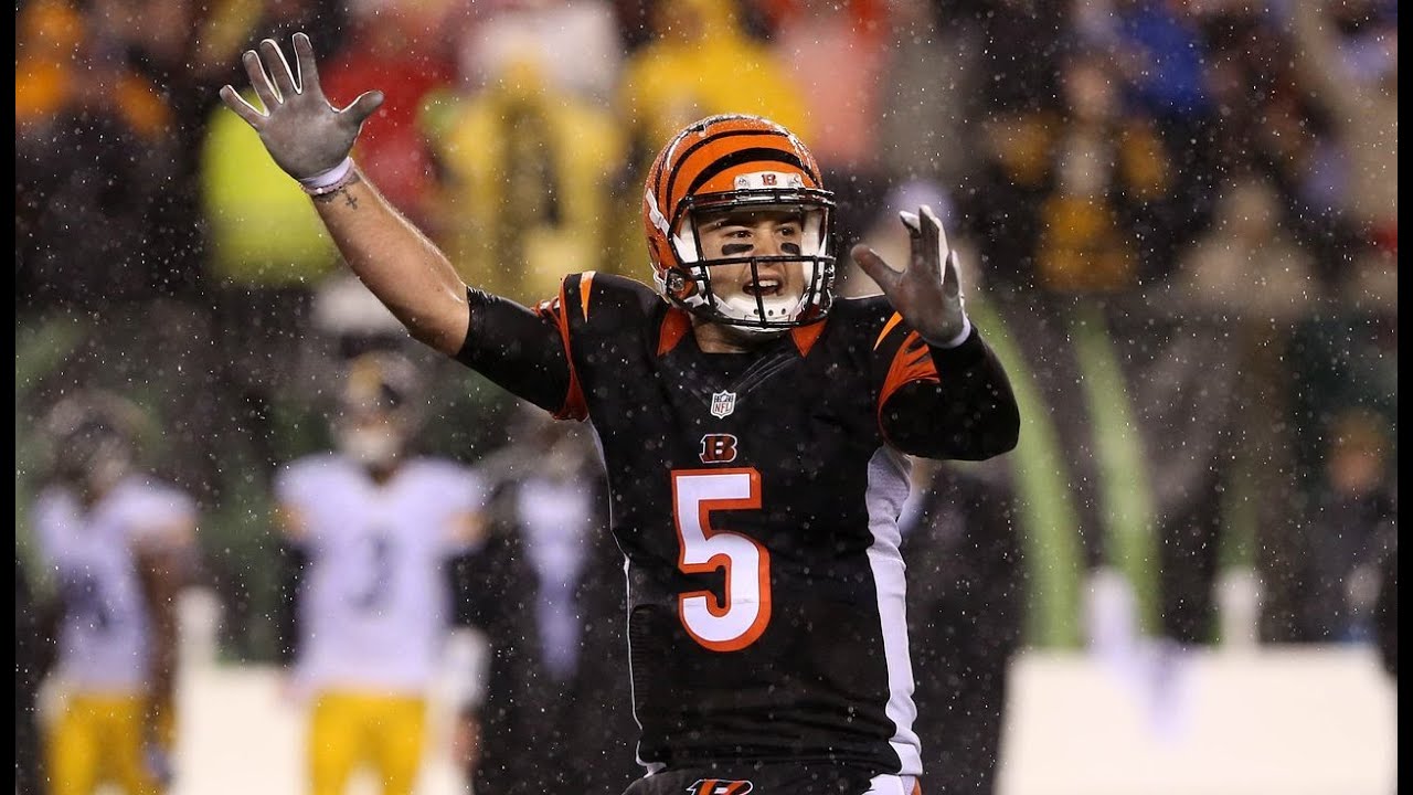 AJ McCarron 2015 highlights