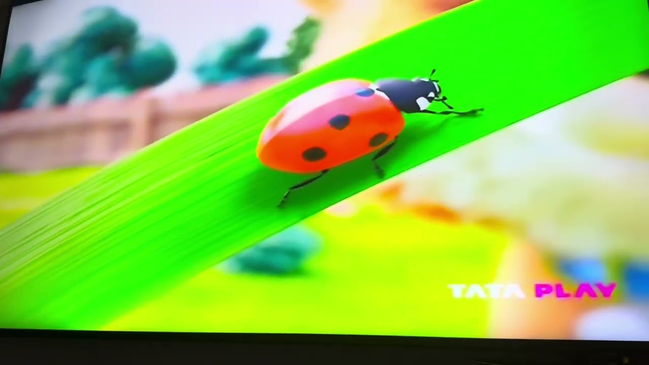 New episode of coco Tata play#coco #tataplay #cocodogworld #tatasky 