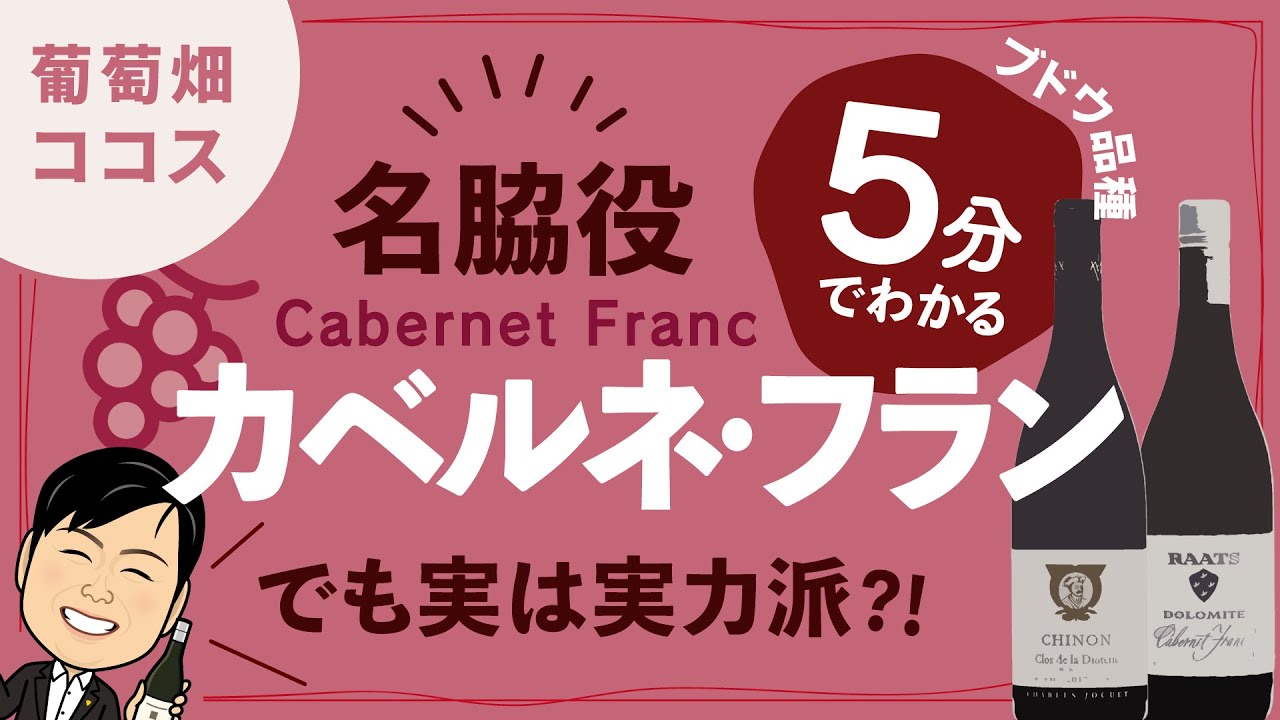 【ワイン初心者】ブレンド用だと誤解してない？「カベルネ・フラン Cabernet Franc」の魅力【ボルドー・ロワール・ニューワールド】【ブドウ品種基礎知識⑨】