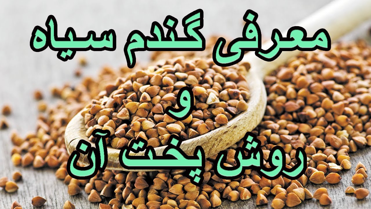 Buckwheat - معرفی گندم سیاه و روش مصرف آن