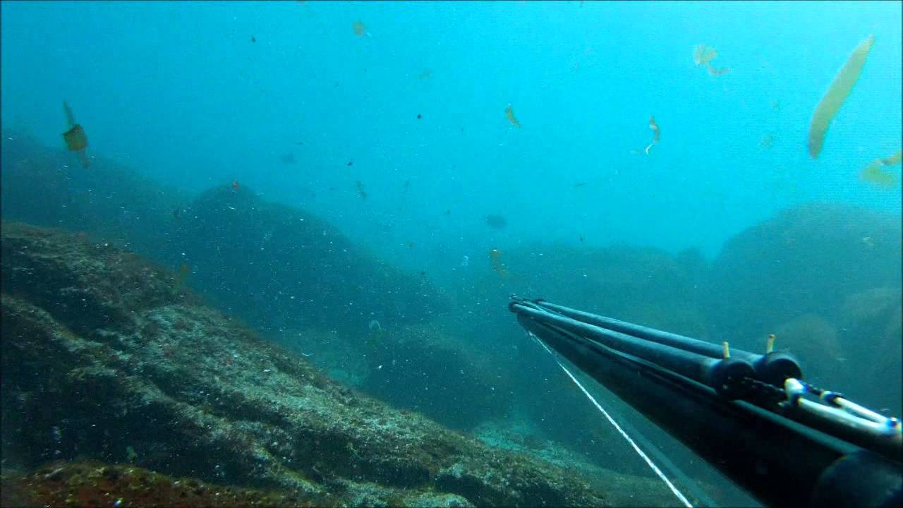 Pescasub Fanico e Zé em Caminha HD
