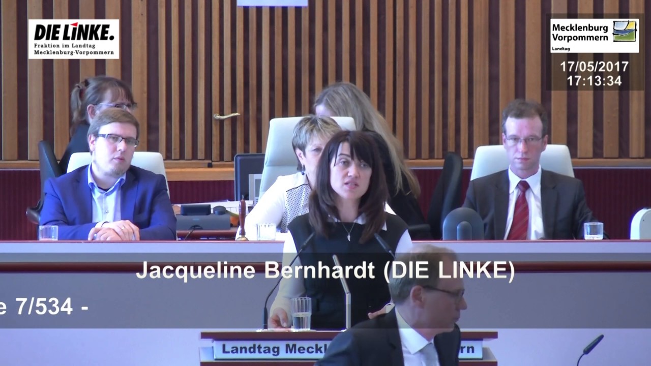 Jacqueline Bernhardt zum AfD-Antrag: 