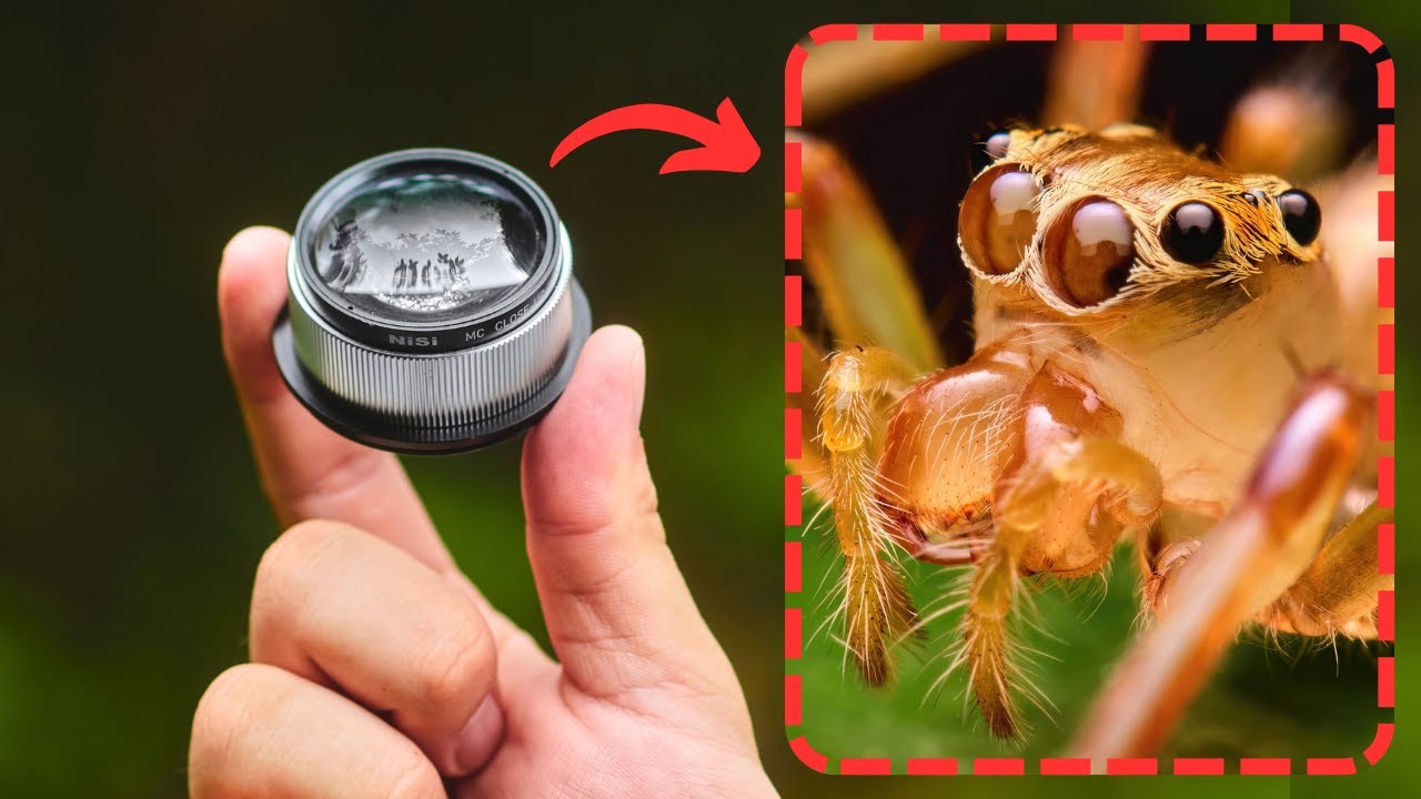 STUNNING MACRO SHOTS With NiSi 49mm Close Up Lens