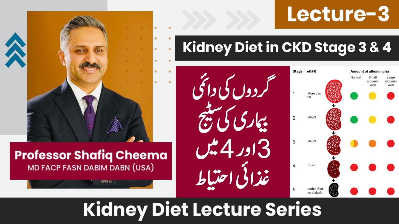 Kidney Diet for CKD Stage 3 & 4 | Professor Shafiq Cheema