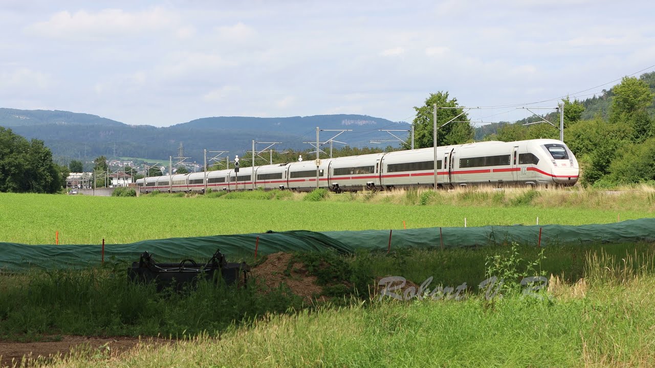 Trains through Sissach 1