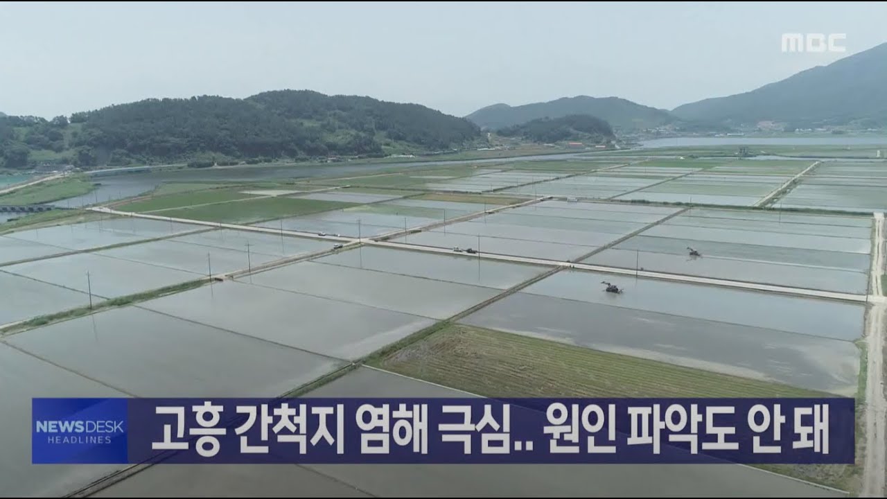 고흥 간척지 염해 극심.. 원인 