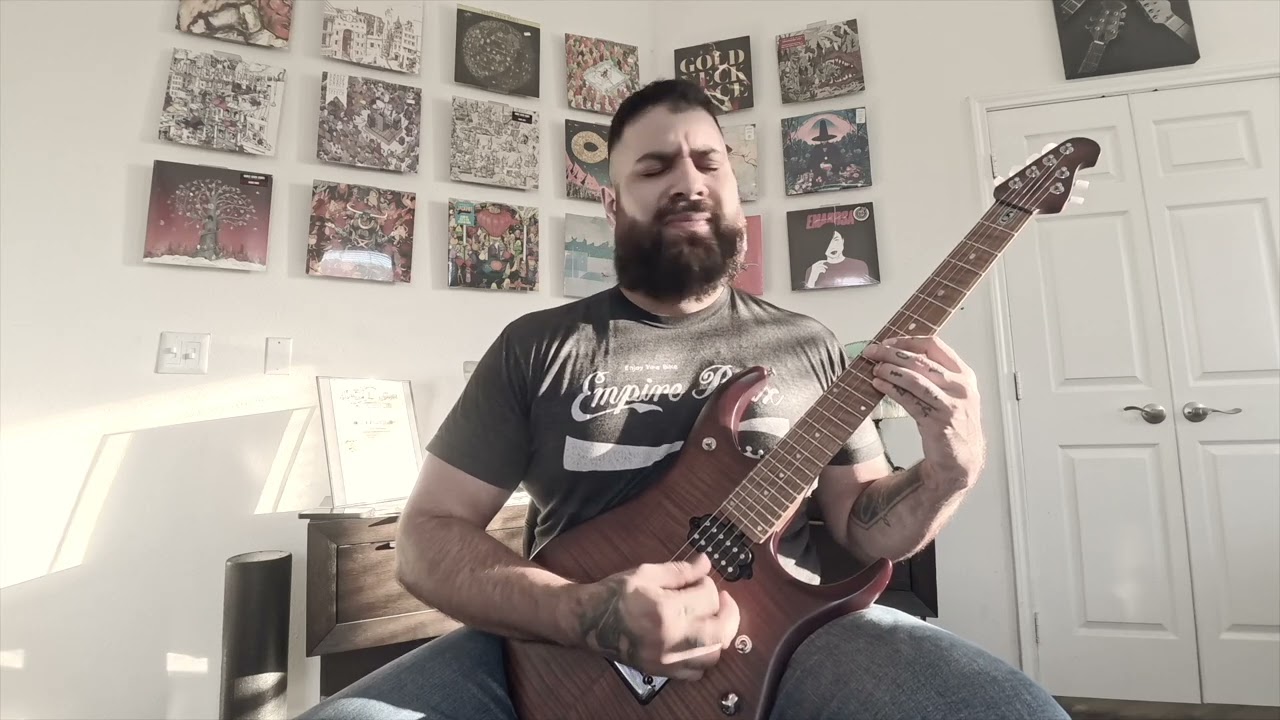 Enter Shikari - Sorry You're Not A Winner | Guitar Cover