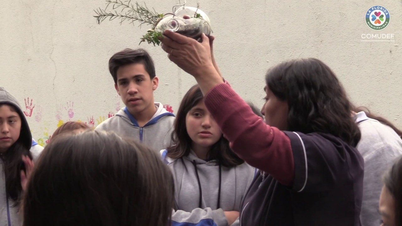 Conoce más acerca del Liceo Alto Cordillera de La Florida