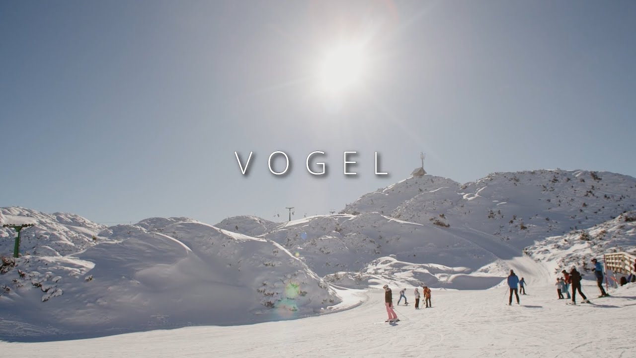 VOGEL RECENZIJA