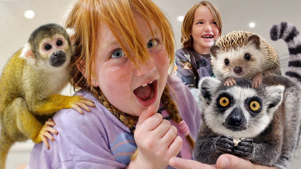 Monkey Jumps on ADLEY!!&nbsp; Niko holds Baby Animals!&nbsp; visiting a Japan Animal Cafe of cute Zoo Buddies
