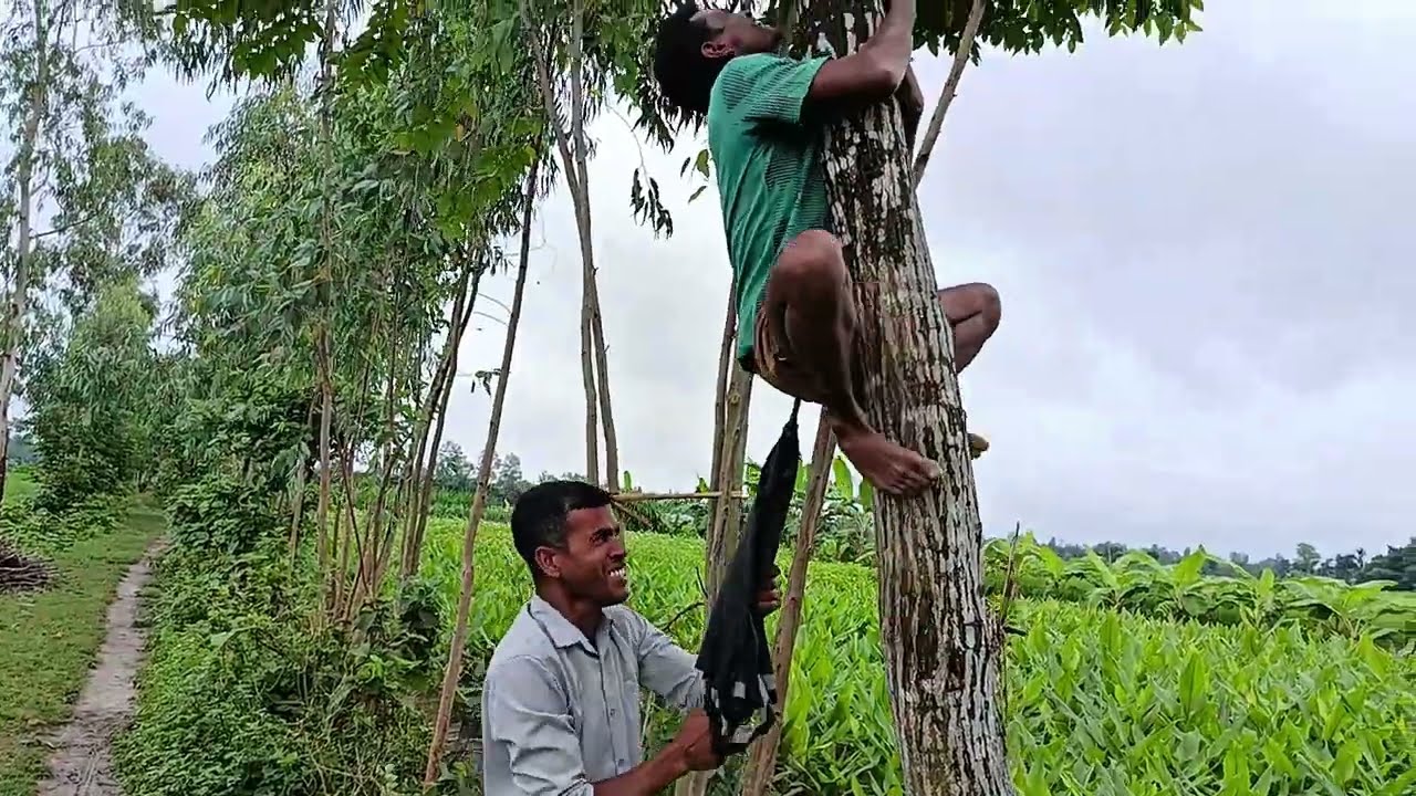 উপকার চাইতে গাছে উঠে বসলো | Upokar chaite gache uthe boslo | Bangla Funny Comedy Video