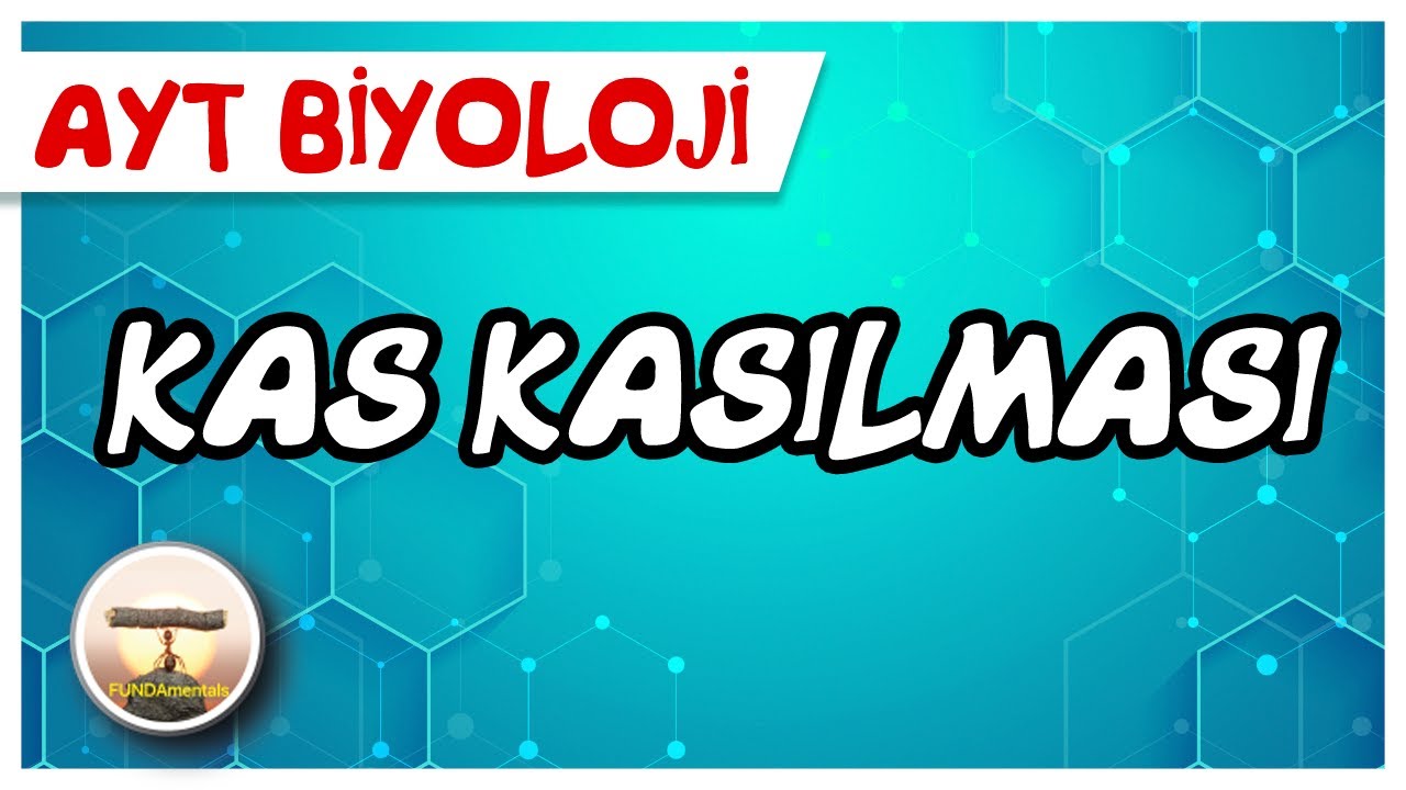 AYT Biyoloji | Kas Kasılması #sayfa58