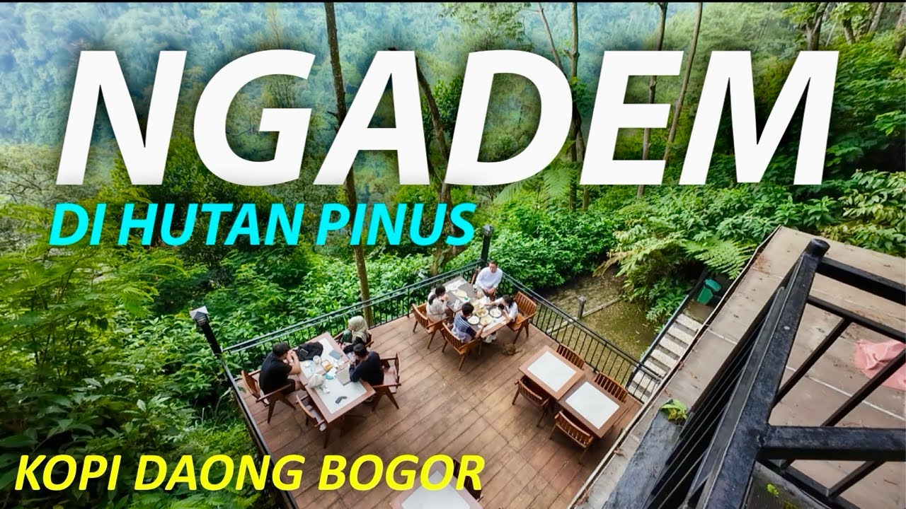 NGOPI CANTIK DI HUTAN PINUS | KOPI DAONG BOGOR | 2025 