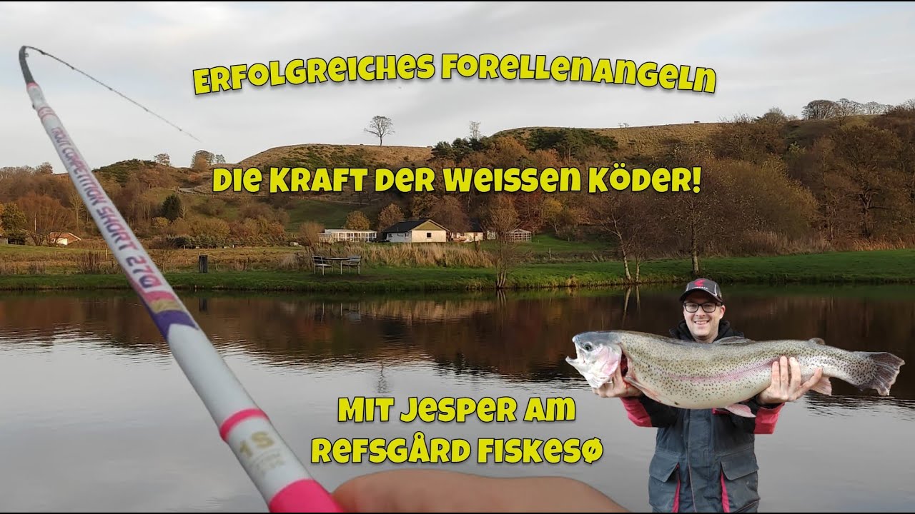 Erfolgreiches Forellenangeln: Die Kraft der weißen Köder! Mit Jesper am Refsgård Fiskesø
