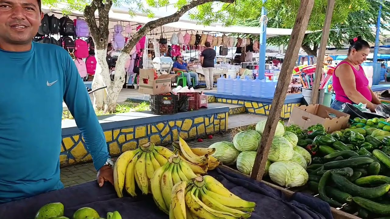 FEIRA DE CATENDE PERNAMBUCO CASSIANO OFICIAL 8141