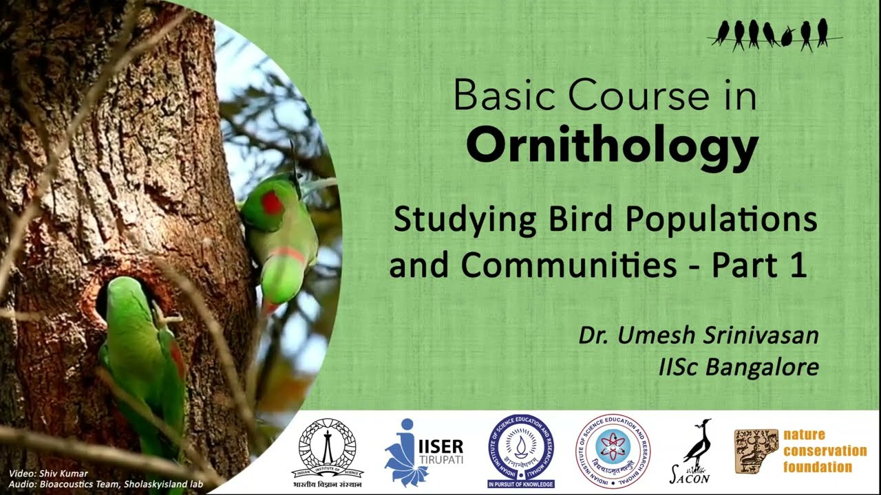 Studying bird populations and communities   Part 1
