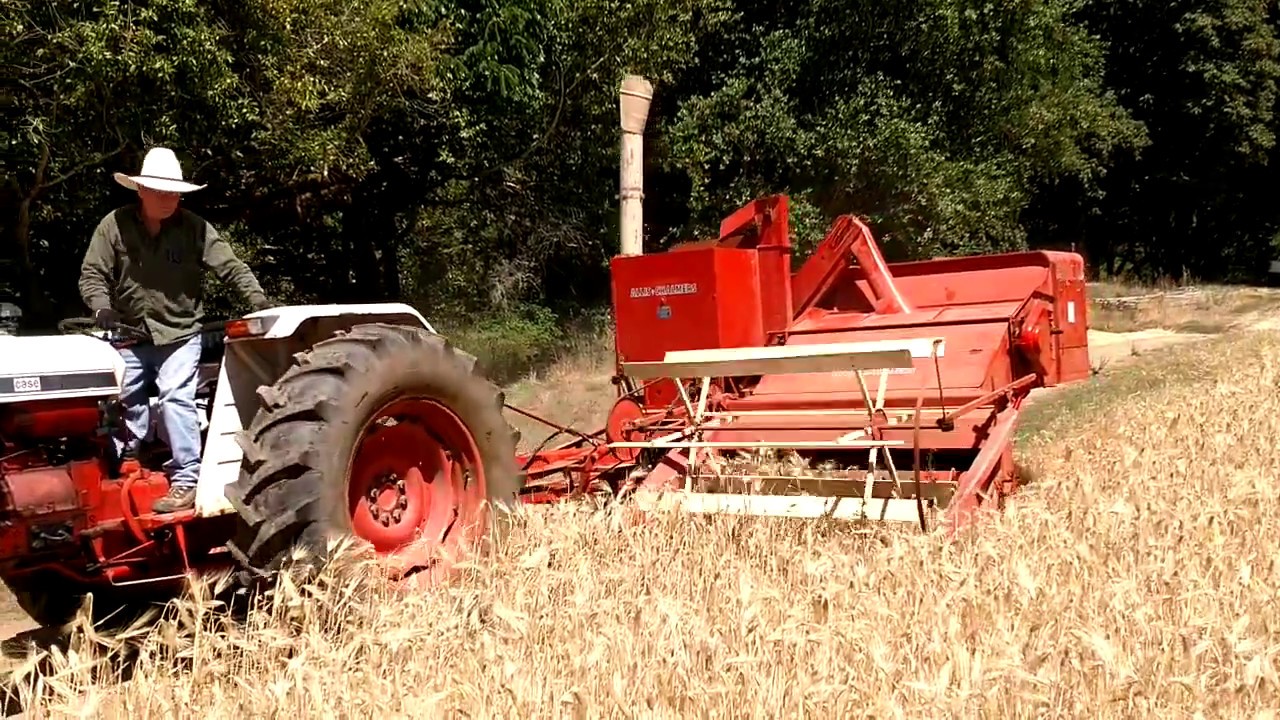 Allis Chalmers All-Crop Harvesting Streaker Barley