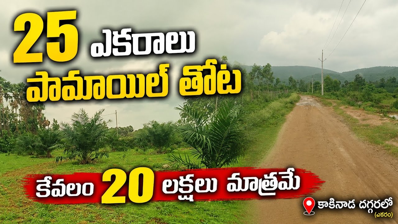 Andhra Pradesh Agriculture Land for Sale|Low Cost Land sale|₹20 Lakhs Per Acre @IsmartSriRealestate 