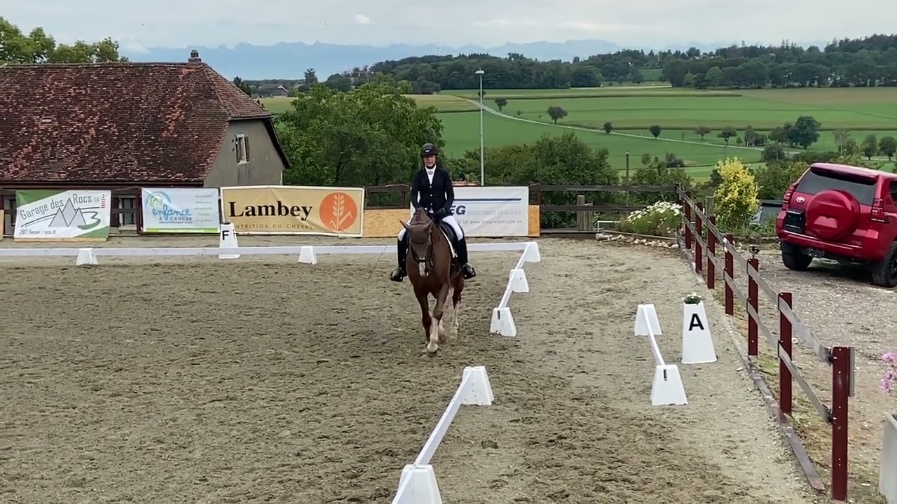 M24 Diesse August 22