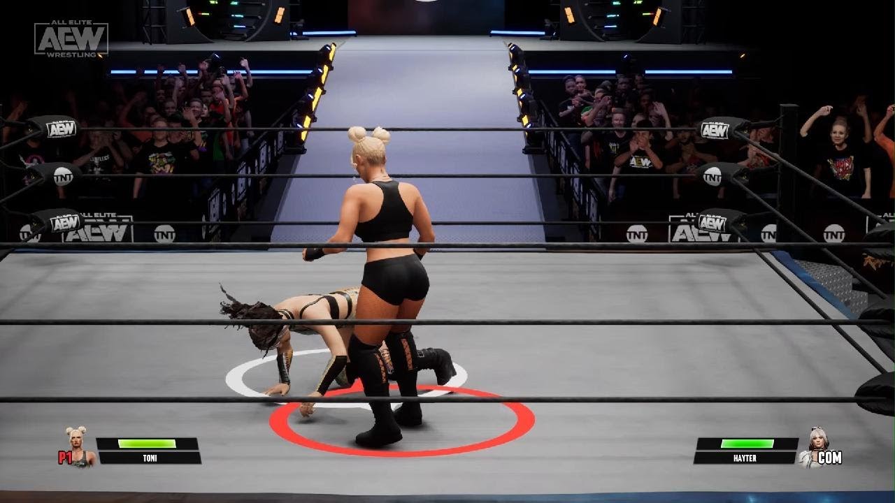 AEW: Fight Forever TimelessToniStorm vs Jamie Hayter TBS Championship LadderMatch