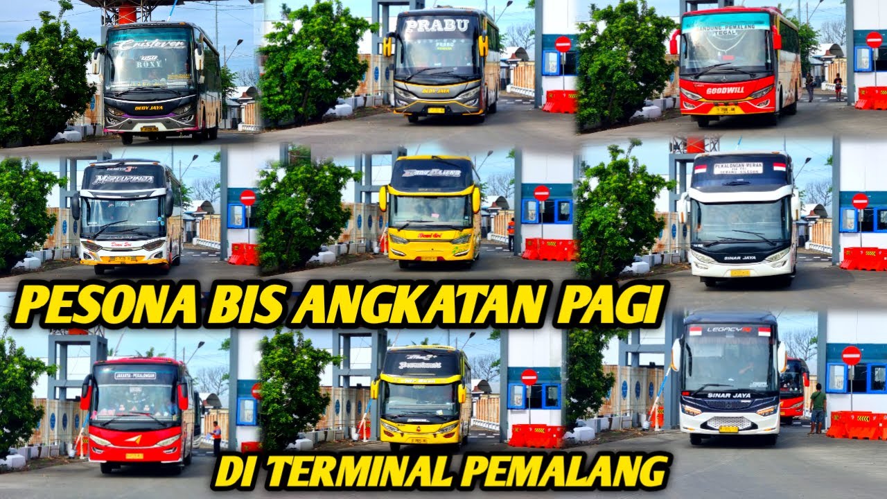 HUNTING BIS ANGKATAN PAGI DARI TERMINAL PEMALANG