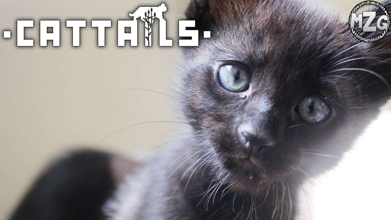 We Did It!! - Cattails Gameplay - Episode 25