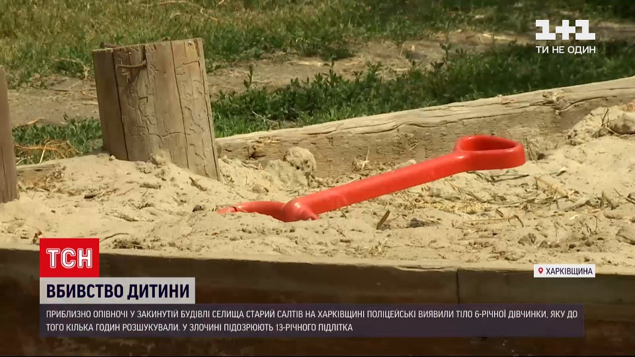 Новости Украины: в убийстве 6-летней девочки подозревают 13-летнего соседа