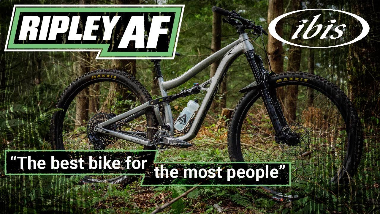 Ibis Ripley AF Review: An Aggro-XC MTB for Everyone (Down-Country?!?)