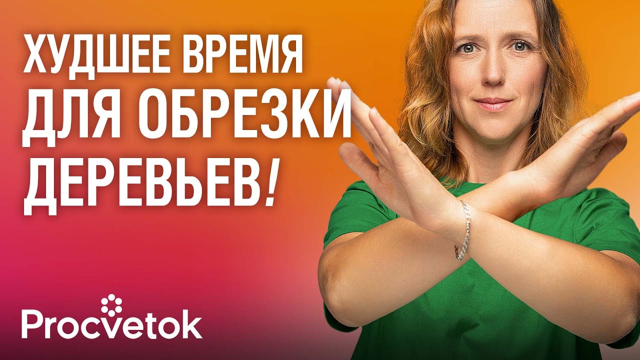 НЕ ВЗДУМАЙТЕ ОБРЕЗАТЬ ДЕРЕВЬЯ ОСЕНЬЮ пока не посмотрите это видео! Когда обрезать плодовый сад?