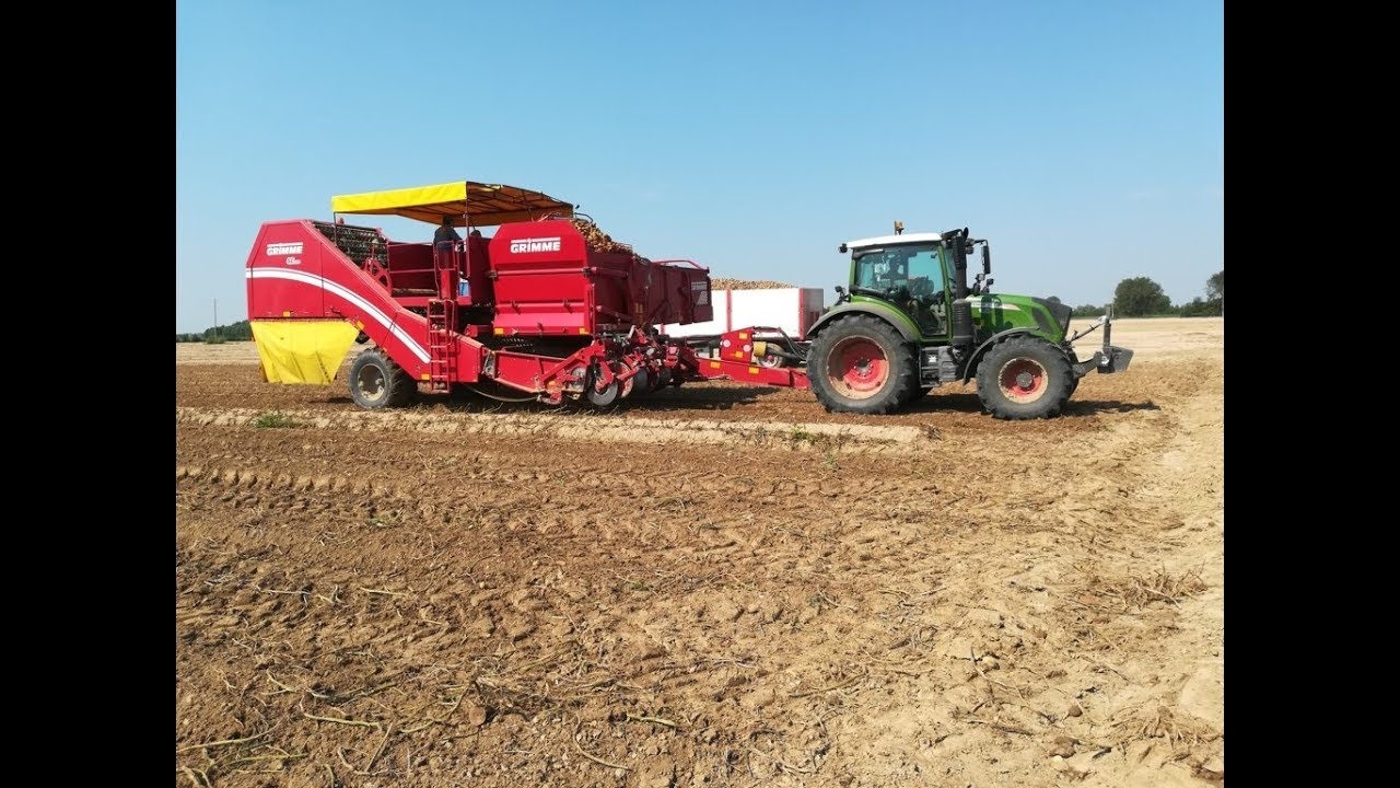 **NEW** Fendt 313 Vario S4| ProfiPlus |Raccolta Patate 2018 | Potato Harvest 2018